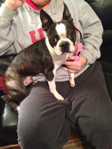 When I saw a post on my Facebook wall that Pete had gone missing a few days ago, I was concerned.