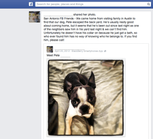 Who doesn't hate seeing a dog go missing?